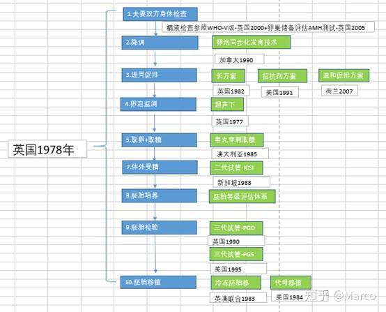 供卵试管婴儿在哪里发育成熟