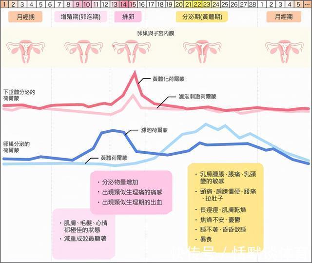 做试管能生双胞胎吗