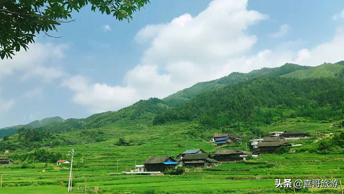 同卵双胞胎妊娠的检查(同卵双胞胎的危害和风险有哪些)