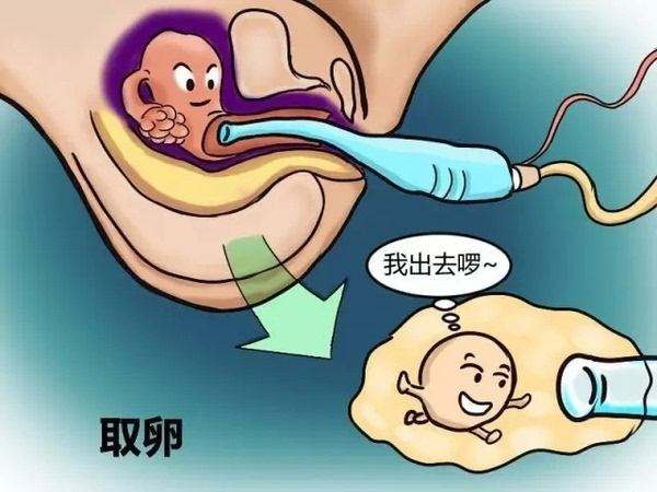 代怀孩子多少费用移植鲜胚后十四天内可以大笑吗