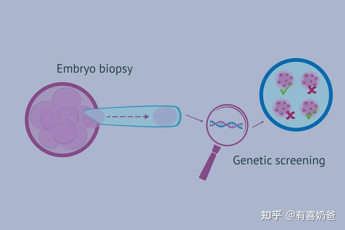 代生了双胞胎公司孩子是男方的吗哪些因素会影响有愿意试管代怀的吗成功率+